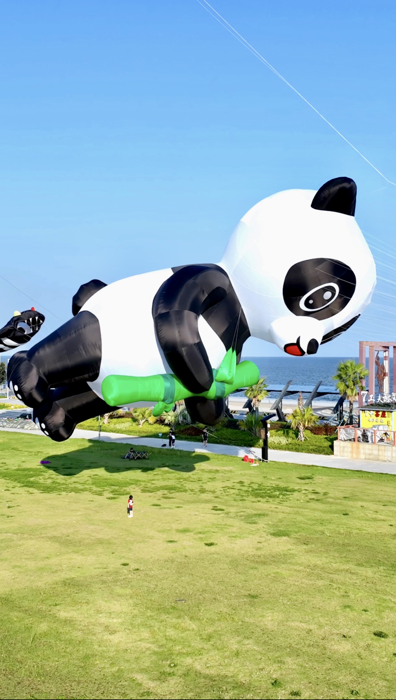 上海市风筝批发风筝放飞活动策划 - 一站式服务